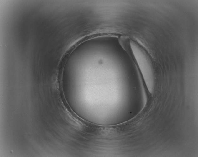 X0000073851452200608241030