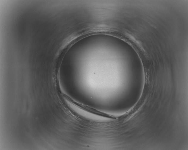 X0000073851453200608241030