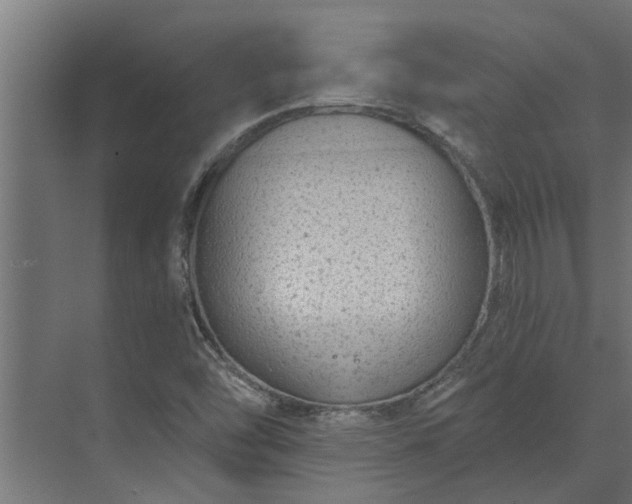 X0000073851454200608241030