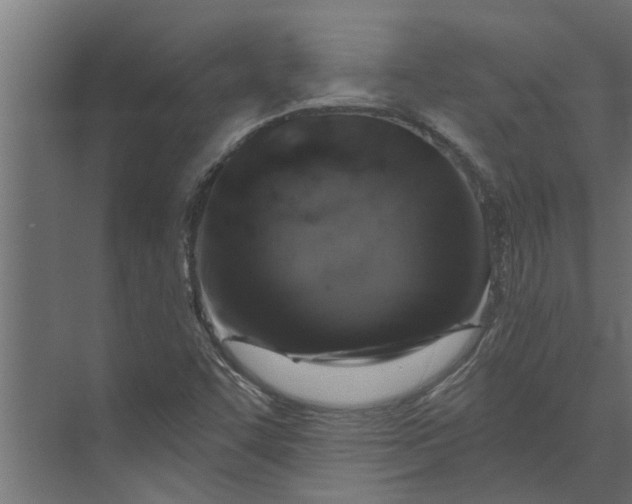 X0000073851455200608241030