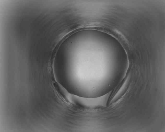 X0000073851457200608241030