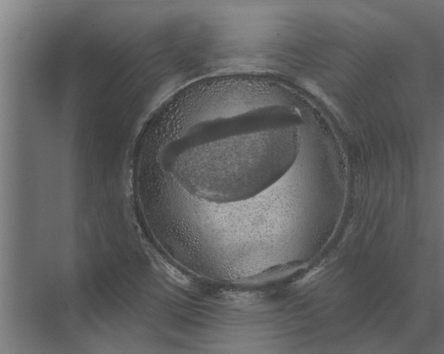 X0000073851459200608241030