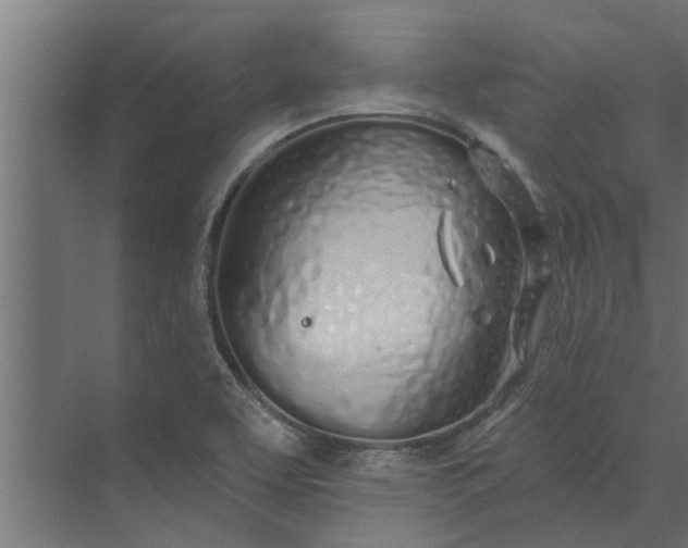 X0000073851463200608241030