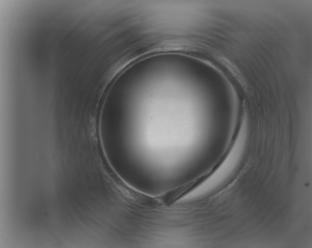 X0000073851465200608241030