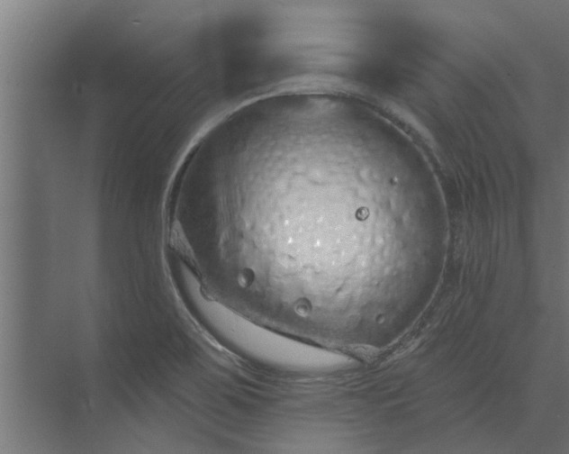 X0000073851467200608241030