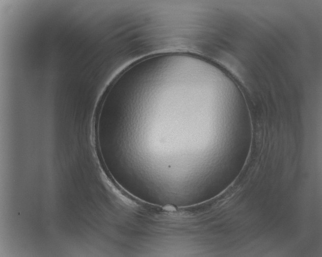 X0000073851468200608241030