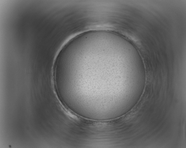 X0000073851470200608241030