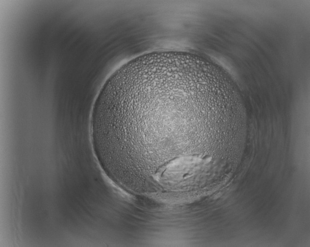 X0000073851471200608241030