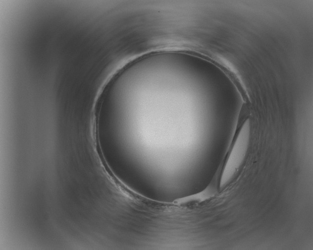 X0000073851472200608241030