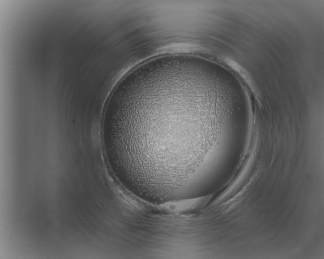 X0000073851473200608241030