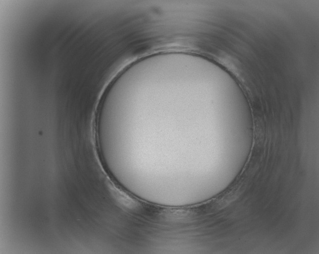 X0000073851474200608241030