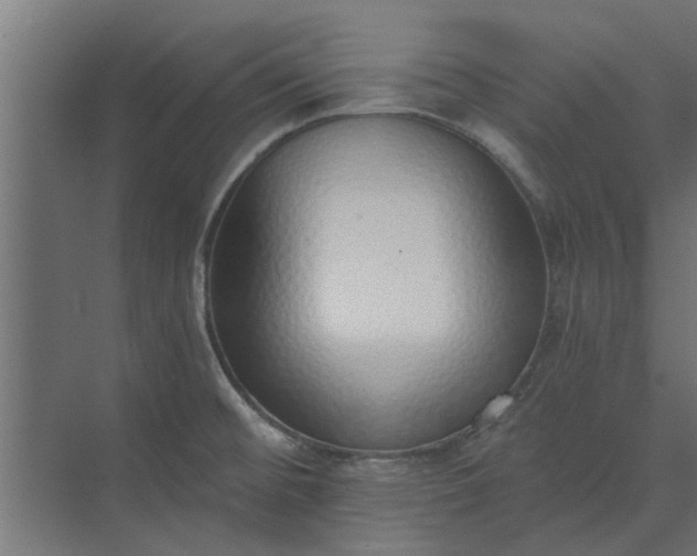 X0000073851476200608241030