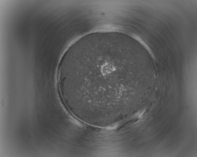 X0000073851477200608241030