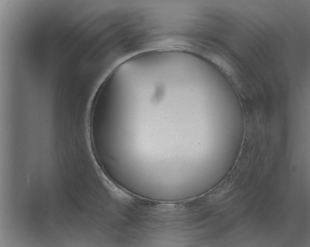 X0000073851478200608241030