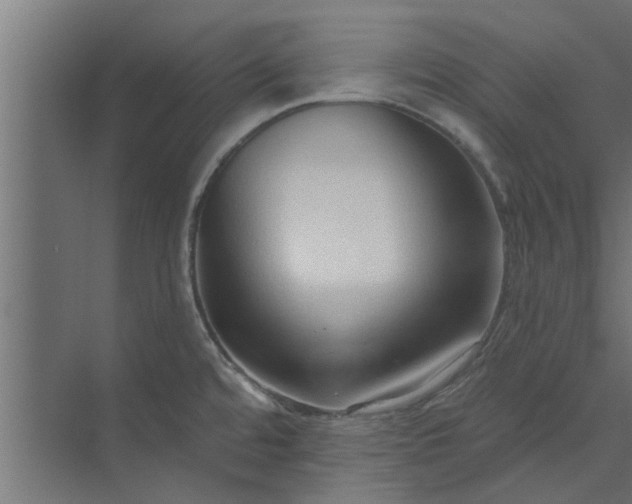 X0000073851480200608241030