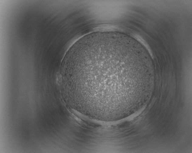 X0000073851481200608241030