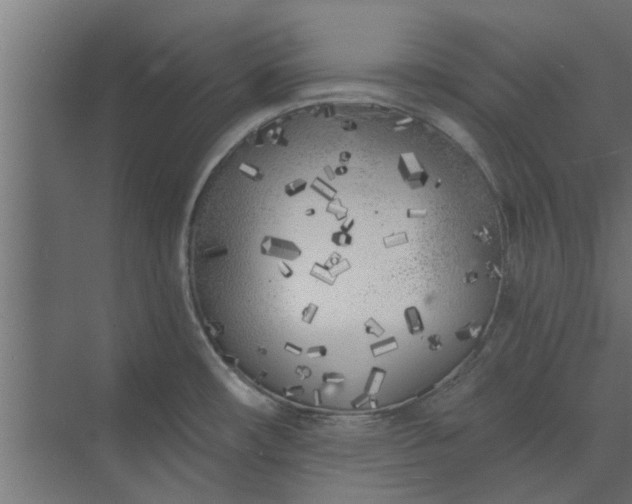 X0000073851482200608241030