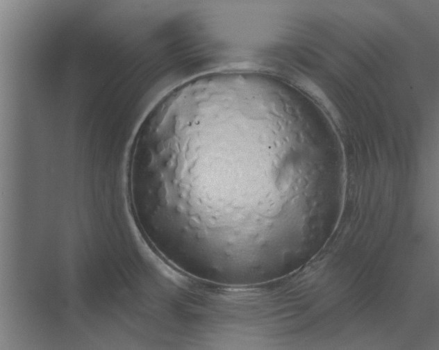 X0000073851483200608241030