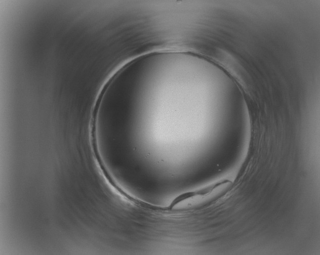 X0000073851484200608241030