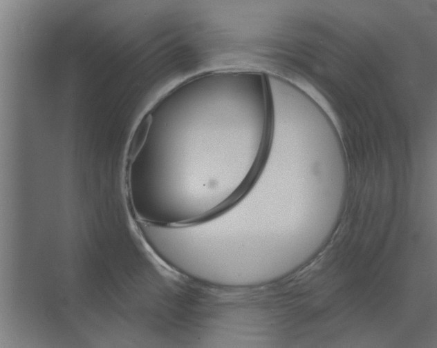 X0000073851485200608241030