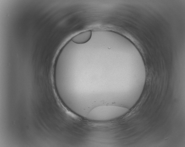 X0000073851486200608241030