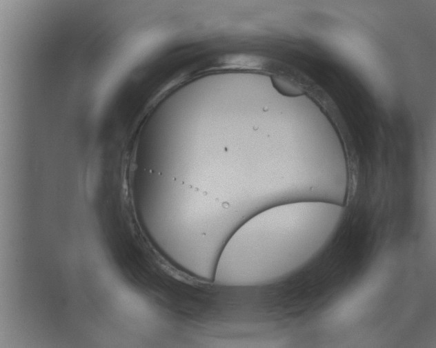 X0000073851487200608241030