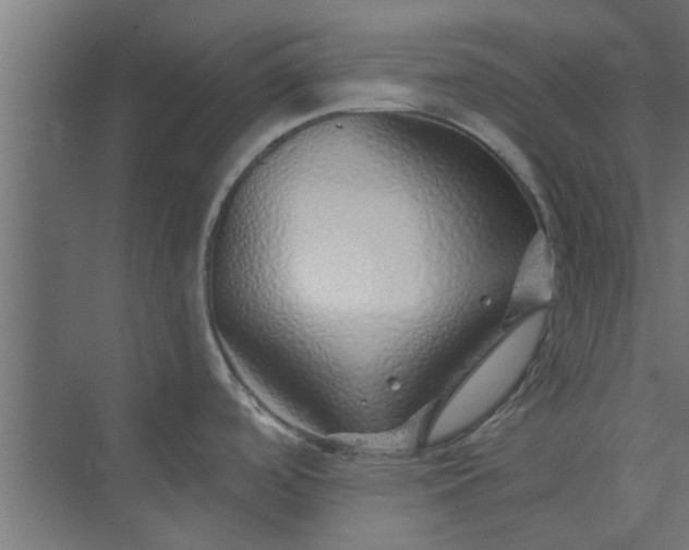 X0000073851488200608241030