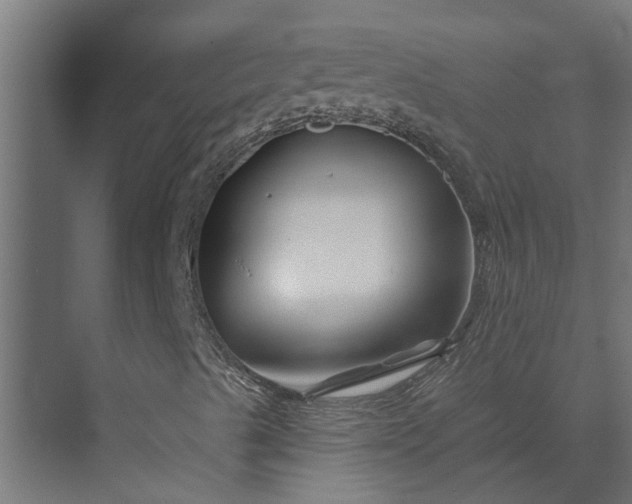 X0000073851489200608241029