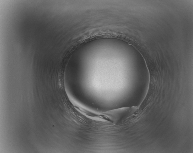 X0000073851490200608241029