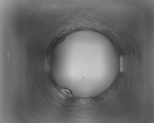 X0000073851491200608241029