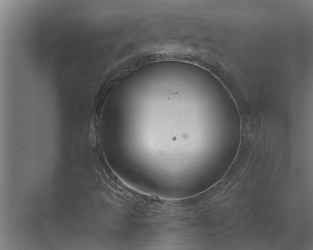 X0000073851493200608241029