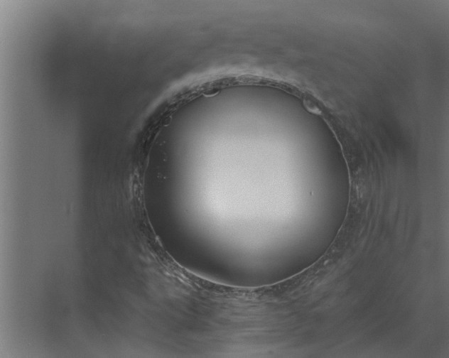 X0000073851495200608241029