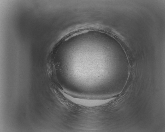 X0000073851496200608241029