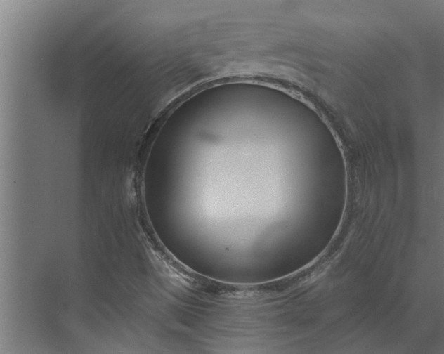 X0000073851497200608241029