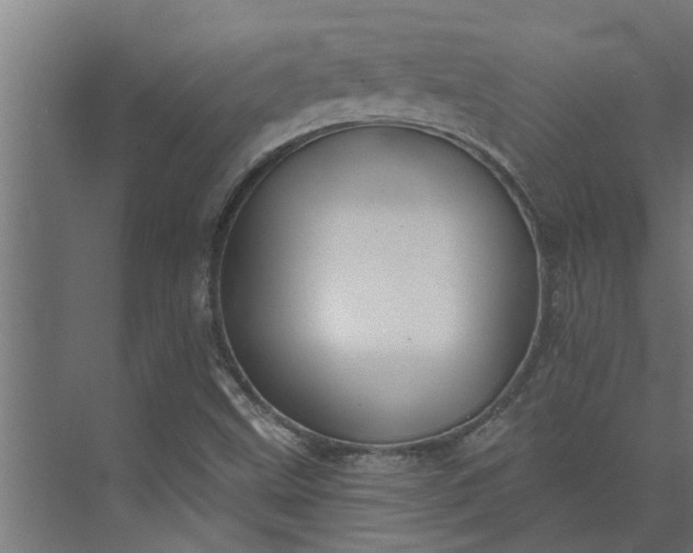 X0000073851499200608241029