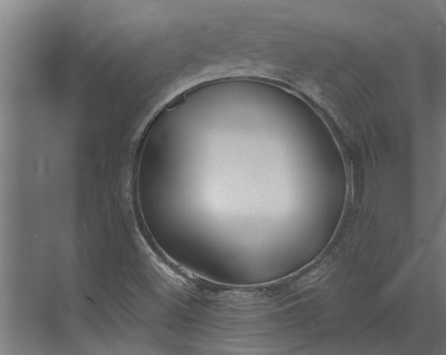 X0000073851500200608241029