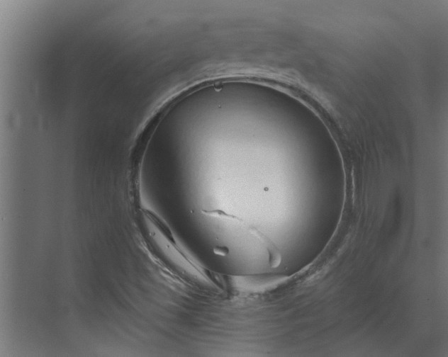 X0000073851501200608241029