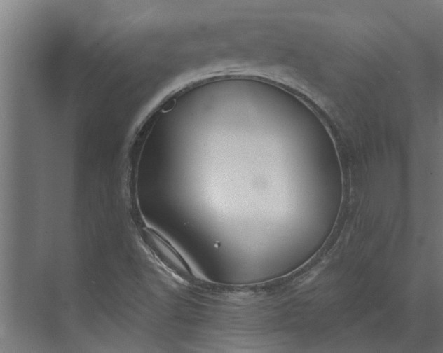 X0000073851502200608241029