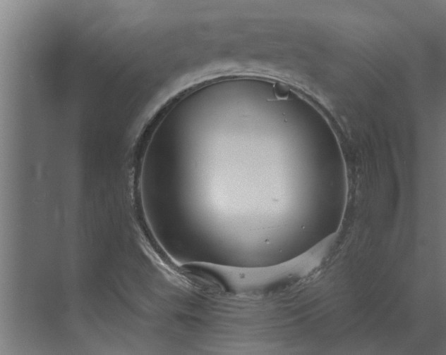 X0000073851503200608241029