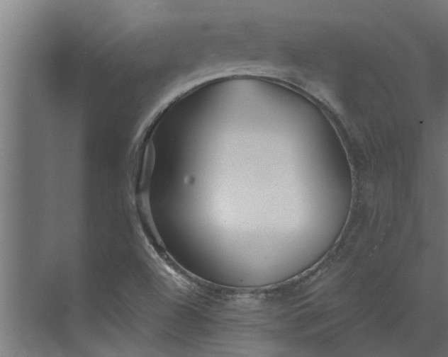 X0000073851504200608241029