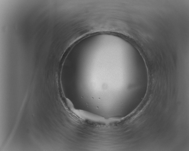 X0000073851505200608241029