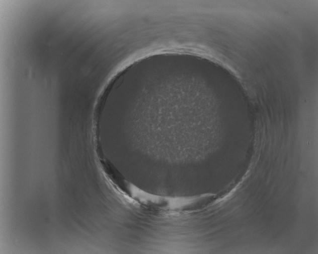 X0000073851506200608241029