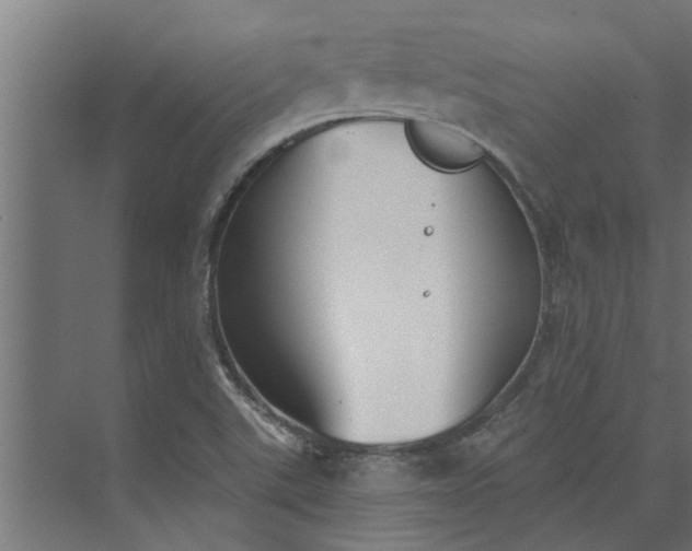 X0000073851507200608241029