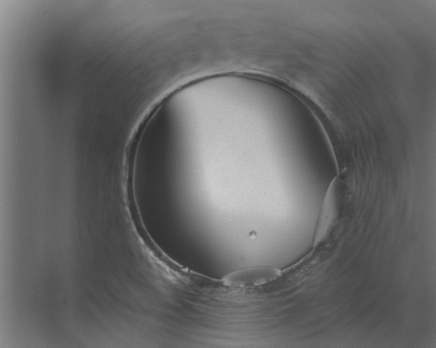 X0000073851508200608241029