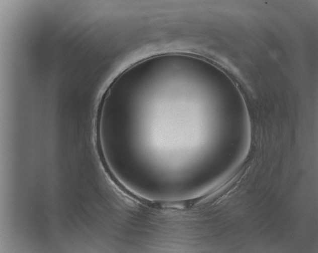 X0000073851512200608241029