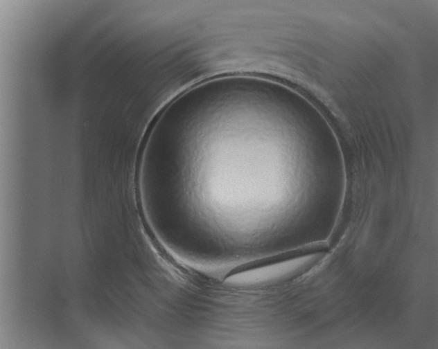 X0000073851513200608241029