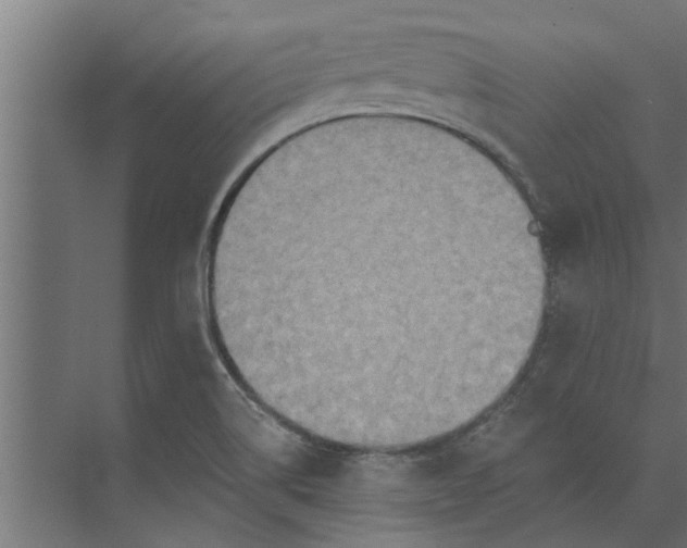 X0000073851514200608241029