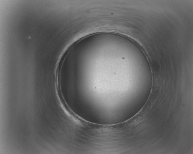 X0000073851515200608241029