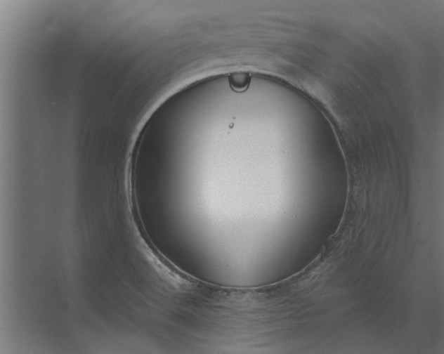 X0000073851516200608241029