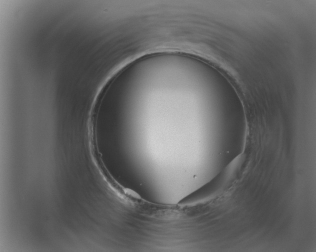 X0000073851517200608241029